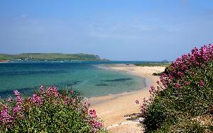 Camel Estuary